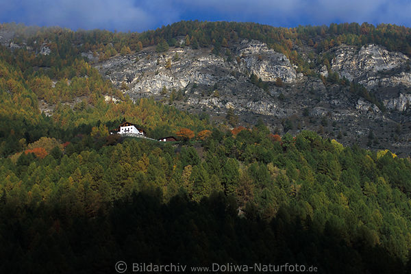 Wald-Residenz am Berghang Lrchenwald, Haus, Villa unter hoher Felswand Sdtirols Martelltal