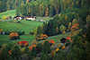 0706_Bauernhof Bergidylle am Lrchenwald Farm hoch an Steilwiese im Sdtirols Martelltal bunten Herbstfarben
