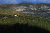 0711_Wald-Residenz Haus Villa am Berghang Lrchenwald unter hoher Felswand Reisebilder im Sdtirol Martelltal