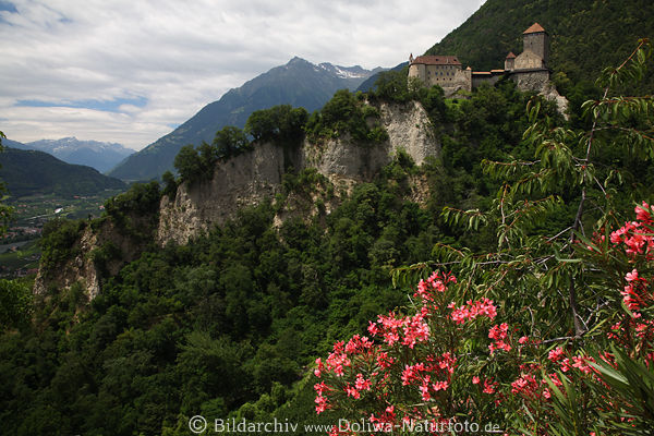 Burg Bergpanorama Schloss Tirol Foto ber Etschtal Berge Blumen grne Landschaft
