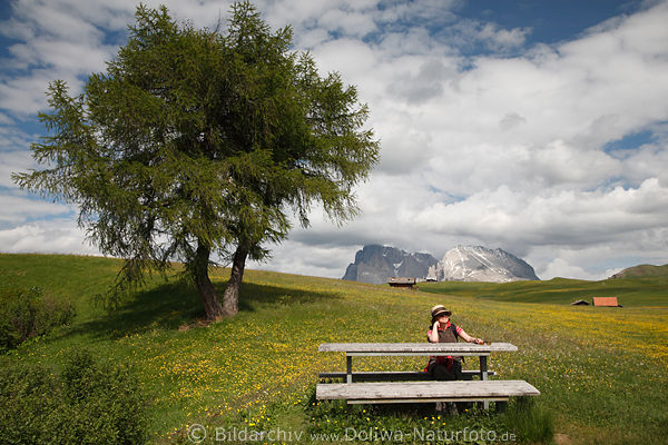 Almtisch Bank Wanderin Erholung am Baum Grnwiese Dolomiten Hochplateau Naturbilder