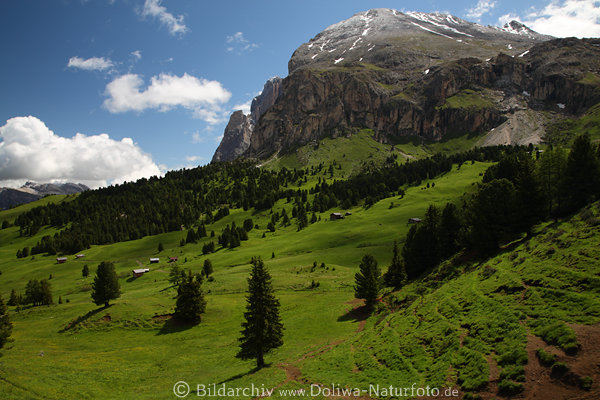 Plattkofel Gipfel Grnhangwiese SeiserAlm Naturfoto Dolomiten Landschaft