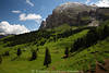 1101484_Plattkofel Gipfel grne Hangwiese Bume SeiserAlm Naturfoto Dolomiten Landschaftsbild