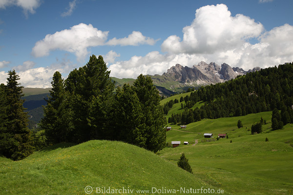 SeiserAlm Grnwiesen Foto Geislerblick Dolomiten Berglandschaft Felsspitzen