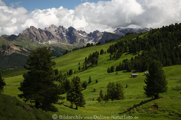 SeiserAlm grne Berglandschaft Naturfoto Geisler Felsspitzen Dolomiten Gipfelpanorama
