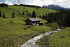 1101441_Almkuhweide am Bach in Bergpanorama Naturbilder Khe Landwirtschaft in Dolomiten Alpenlandschaft