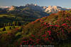 SeiserAlm Alpenrosenblte Naturbilder Dolomiten Romantik Berglandschaft Bergidylle in Abendlicht