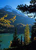 Zufrittsee bunte Herbstfarben Naturfotos romantischen Berglandschaft Lrchen am Grnwasser vor blauen Bergspitzen