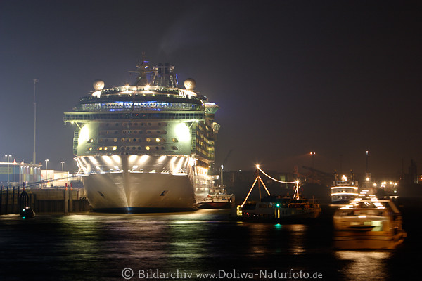 Kreuzfahrtschiff Freedom of the Seas Abendlichter Begleitschiffe