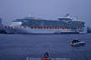 600260_ Kreuzfahrtschiff Freedom of the Seas in voller Lnge liegt im Grasbrookhafen am Fhr- & Kreuzfahrtterminal Cruiserterminal