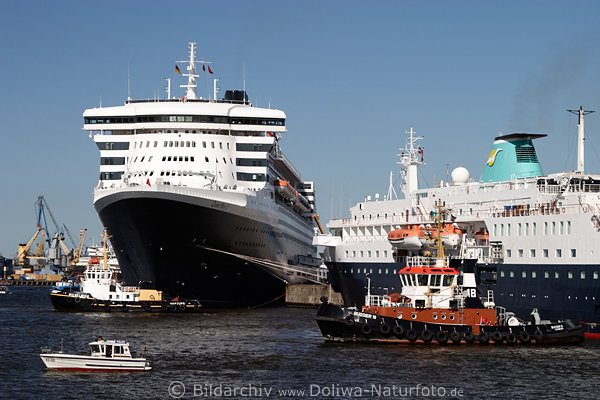 Passagierkreuzer im Hafen Anlegearbeiten an QueenMary2 & Alex von Humboldt