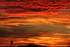 Himmelsglhen der Rotwolken Naturbild ber Jagdkanzel Silhouette Abendstimmung grelle Farben