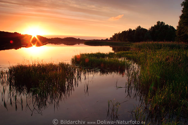 Sonnenuntergang ber See Schilfinseln Wasserlandschaft Romantik Naturbild