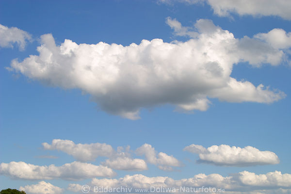 Cumuluswolke Haufenwolke am Himmel, flauschige weie Wolken Wattewolken Naturfoto