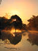 Goldstimmung in Nebel Morgensonne Naturbild über See rosa Nebelstimmung