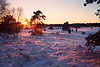 3069_Winter Romantik Sonne strahlen über Schnee lila-rot Farbe Bäume Landschaft Naturbild