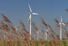 Windparks in Dithmarscher Bauernrepublik Windmühlen, Windkraftwerke in Marschland Landschaft Bilder