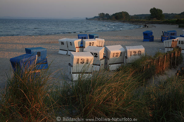 Ostsee Naturkste Landschaft Meer Strandkrbe Wasser Ufer Grser Abendsonne