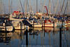 Jachthafen Segelboote Landschaft BootsMaste in Wasser Abendsonne Spiegelung