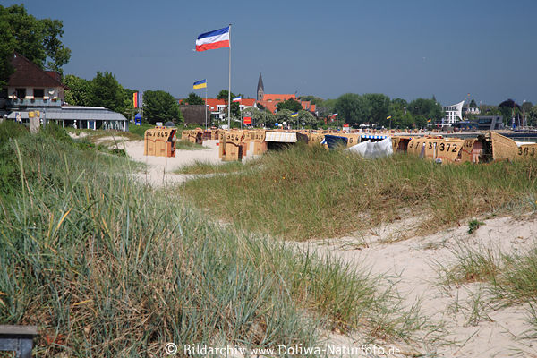 Eckernfrde Naturstrand Sanddnen Strandhafer Grnbewuchs Landschaft Foto Ostsee Meerufer Krbe City-Blick Panorama