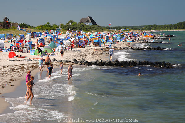 Badestrand Ostseek�ste Hohwacht Wasser Sand Naturstrand Panorama Meer 