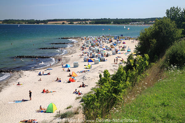 Hohwacht Ostseestrand Meerk�ste