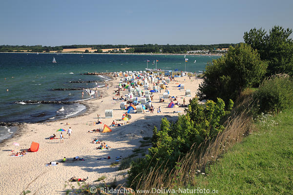 Sandstrand Hohwacht Foto Ostsee Meerpanorama von Hochufer Gr�nwiese K�rbe Landschaft