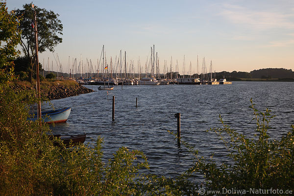 Maasholm Schlei Fjordlandschaft Kste Wasserbucht Yachthafen Segelboote