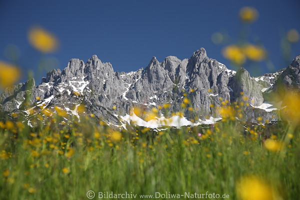 Berge Flora Felsen Fotokunst Landschaft Romantik Panorama Naturbild Leinwandruck