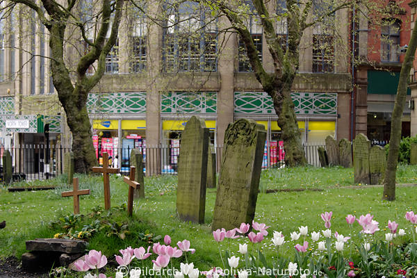 Newcastle Friedhof Grabsteine Frhlingsblumen an Kirche in Stadtzentrum