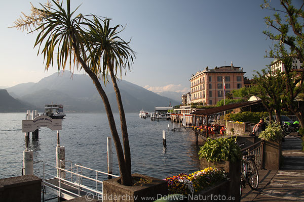 Bellagio Hafen Palmen ComerSee Wasser Alpenpanorama