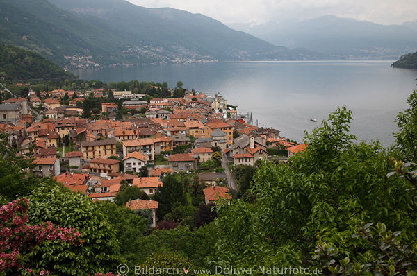 Cannobio Dcher Panorama Lago Maggiore See Wasser Berglandschaft Kste Weite