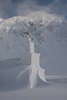 Eiskirche Bilder in Schnee romantische Landschaft Fogarascher Berge der Sdkarpaten bei Blea See