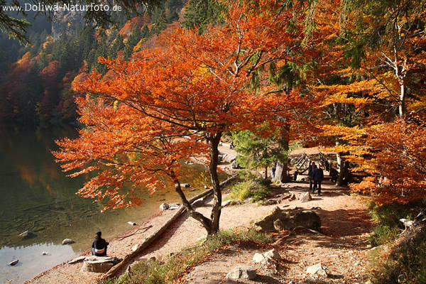 Feldsee Herbstfarben Wasserufer Wanderer Schwarzwald 