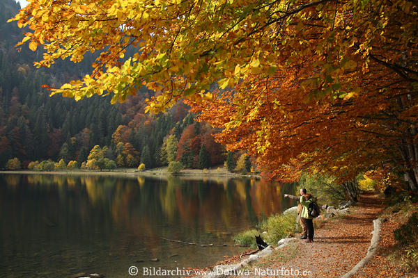 Feldsee Wanderer in Herbstlandschaft Naturidylle unter Bumen am Schwarzwald Wasserufer