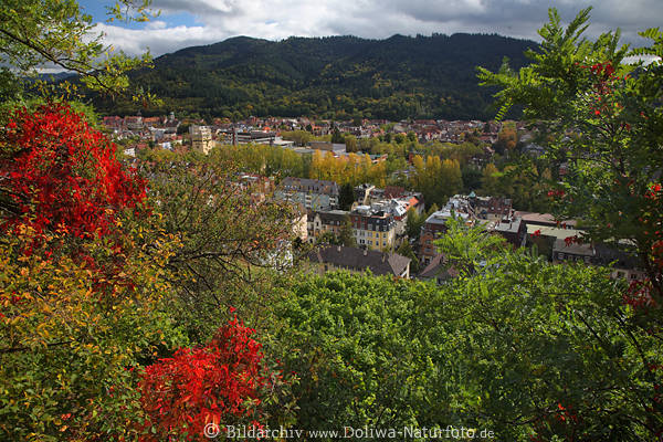 Freiburg Wiehre Berglandschaft Herbstfarben