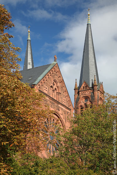Freiburg St.Johann Kirche Fensterrose historische Trme