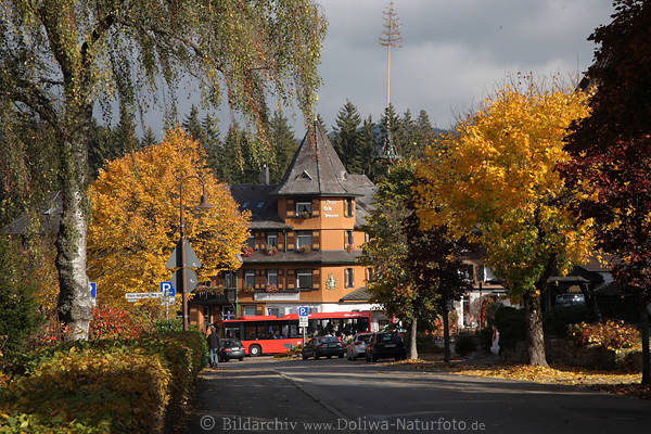 Hinterzarten Herbst Farben Landschaft in Schwarzwald Ferienort