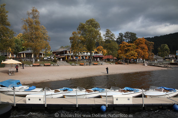 Titisee-Strand Wasserufer Bume Herbstfarbe Boote Landschaft