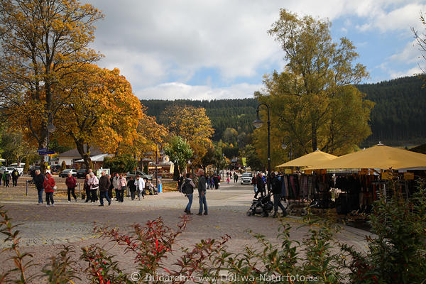 Titisee Uferpromenade Besucher Herbstbume Landschaft Schwarzwlder Kurort