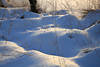 Schneebuckel Winterbild Licht-Schatten Gegenlicht Naturfoto Gräser in Schneewehen