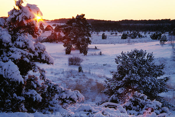 Winter-Sonnenuntergang Landschaft Romantik Schnee roter Sonnenstern Naturidylle