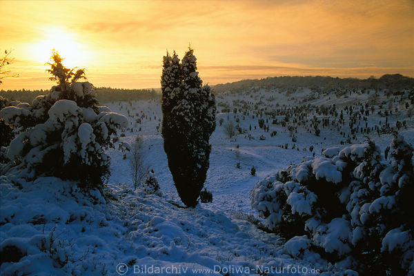 Winter-Sonnenuntergang Gelbhimmel Stimmung über Tal Schneepanorama Naturbild