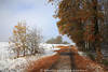 Laubfall über Schnee Landschaft Winterweg Herbstblätter Sträucher Bäume in Sonnenschein
