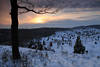 Winterblick auf Tal Landschaft Naturbild Bäume Schnee Abendstimmung nach Sonnenuntergang