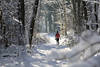 Schneeallee in Wald Winterlandschaft Naturfoto mit Wanderin in Sonnenschein spazieren