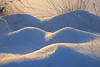 Schneebuckel Winterbild Schneewehen Gegenlicht Naturfoto Weisskuppen
