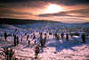 Winter-Sonnenuntergang Romantik Landschaftsfotografie Gegenlicht Naturbilder Schnee blaue Schatten