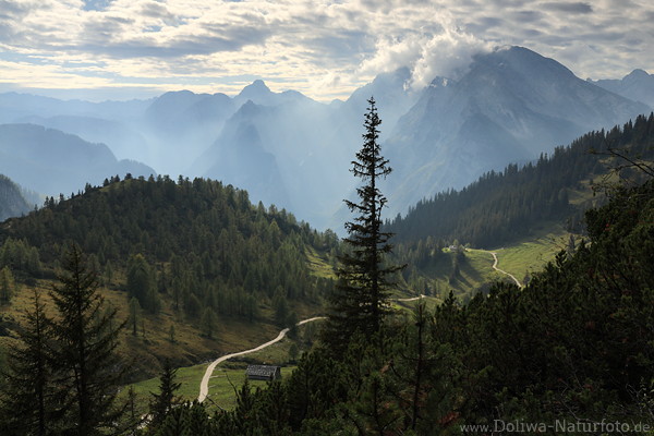 Alpengipfel in Gegenlicht Bergtal Naturbild Wanderweg Kiefer Wlder Naturfoto