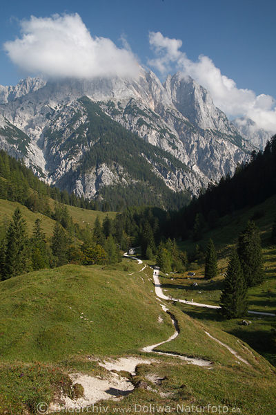 Reiteralpe Berg über Bindalm Naturfoto grüne Almwiesen geschlängelte Wanderpfade